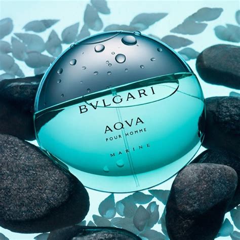 bvlgari aqva marine fragrantica.